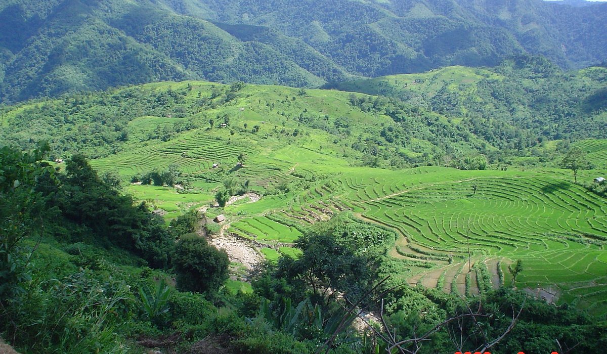 Assam